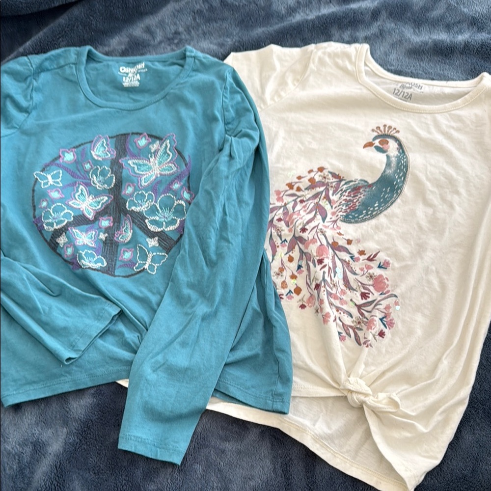 OshKosh B'gosh Blue and Cream Long Sleeve Tees - 2 Shirt Bundle!